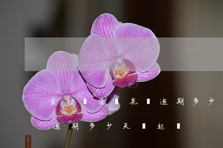 支付寶借唄花唄逾期多少會起訴(支付寶花唄逾期多少天會起訴)