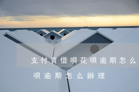 支付寶借唄花唄逾期怎么辦-支付寶借唄花唄逾期怎么辦理