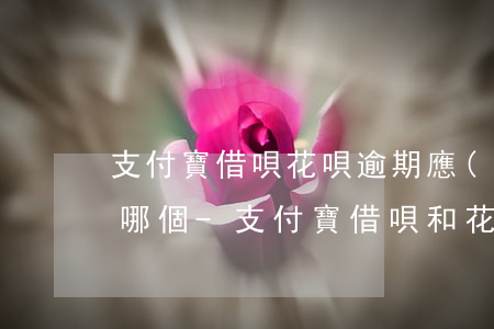 支付寶借唄花唄逾期應(yīng)該先還哪個-支付寶借唄和花唄都逾期了先還哪個