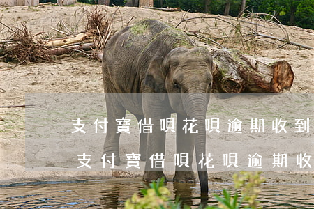 支付寶借唄花唄逾期收到律師函是真是假-支付寶借唄花唄逾期收到律師函是真是假啊