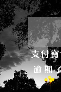 支付寶借唄花唄逾期是刑事(支付寶花唄借唄逾期了會(huì)怎么樣嗎)