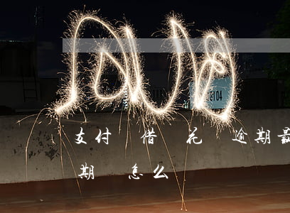 支付寶借唄花唄逾期最后解決(支付寶借唄逾期會怎么辦)