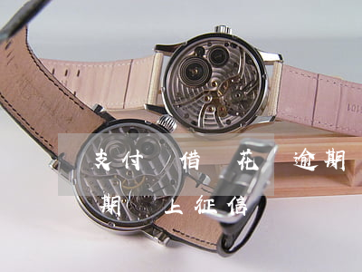 支付寶借唄花唄逾期會上征信(支付寶借唄逾期會上征信嗎)