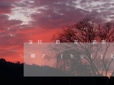 支付寶借唄花唄逾期線下還款(支付寶借唄逾期了會(huì)怎么樣嗎)