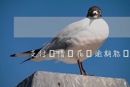 支付寶借唄花唄逾期能協(xié)商嗎