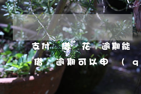 支付寶借唄花唄逾期能減利息嗎(支付寶花唄借唄逾期可以申請(qǐng)減免利息嗎)