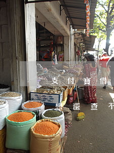 支付寶借唄花唄都逾期了,現(xiàn)在想還查不到記錄怎么辦（支付寶借唄花唄都逾期了）
