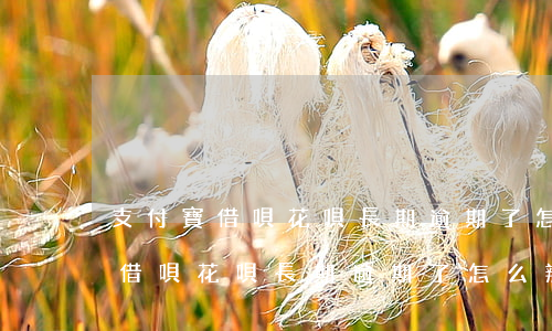 支付寶借唄花唄長期逾期了怎么辦-支付寶借唄花唄長期逾期了怎么辦啊