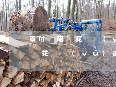 支付寶借唄花唄預(yù)逾期-支付寶借唄花唄預(yù)逾期什么意思