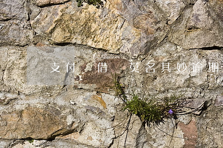 支付寶借唄莫名其妙逾期-借唄如果逾期