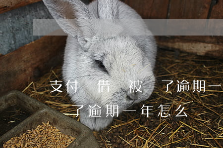 支付寶借唄被騙了逾期一年-支付寶借唄被騙了逾期一年怎么辦
