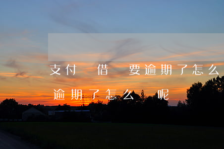 支付寶借唄要逾期了怎么辦-支付寶借唄要逾期了怎么辦呢