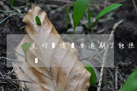 支付寶借唄要逾期了能提前協(xié)商嗎