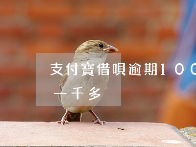 支付寶借唄逾期1000元圖片-借唄逾期一千多
