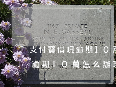 支付寶借唄逾期10萬,怎么辦?-支付寶借唄逾期10萬,怎么辦理