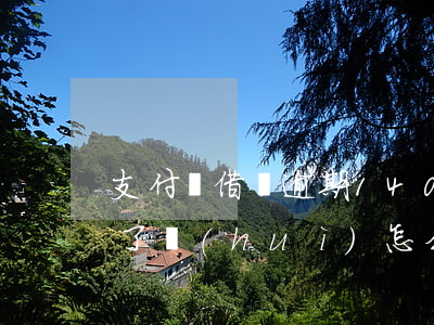 支付寶借唄逾期1400-支付寶借唄逾期了會(huì)怎么樣嗎