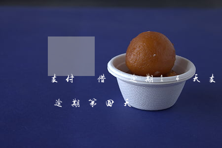 支付寶借唄逾期14天（支付寶借唄9800逾期第四天）