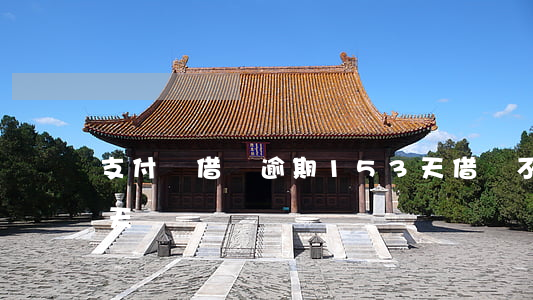 支付寶借唄逾期153天(借唄不小心逾期8天)