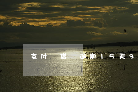 支付寶借唄逾期15天3000元