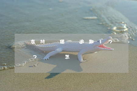 支付寶借唄逾期17萬-支付寶借唄逾期17萬會怎樣