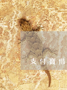 支付寶借唄逾期180天(借唄逾期160天)