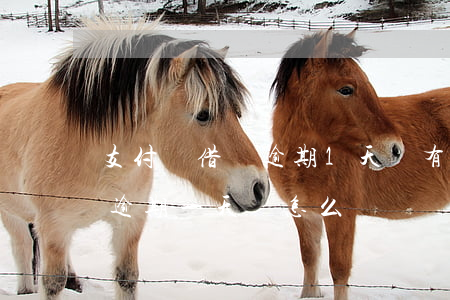 支付寶借唄逾期1天會有影響嗎 支付寶借唄逾期一天會怎么樣嗎