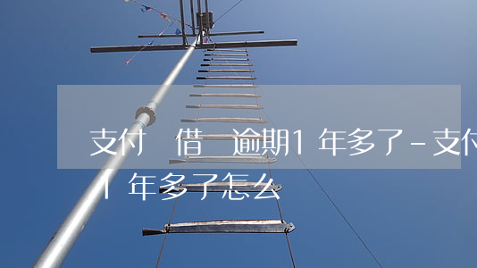 支付寶借唄逾期1年多了-支付寶借唄逾期1年多了怎么辦