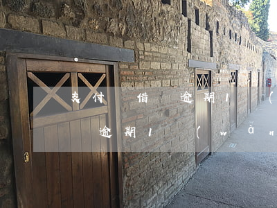 支付寶借唄逾期1萬(wàn)5(支付寶借唄逾期1萬(wàn)6逾期1年多會(huì)從微信上扣)