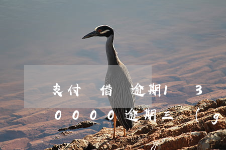 支付寶借唄逾期1萬3個(gè)月(借唄10000逾期三個(gè)月)