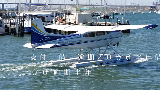 支付寶借唄逾期2000半年(借唄逾期1000逾期半年)
