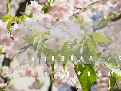 支付寶借唄逾期20天會影響審請信用卡嗎-支付寶借唄逾期20天會影響審請信用卡嗎