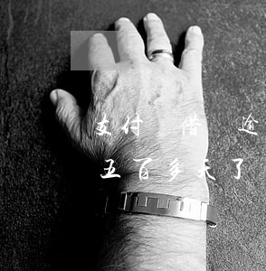 支付寶借唄逾期25天后果(支付寶借唄逾期五百多天了)