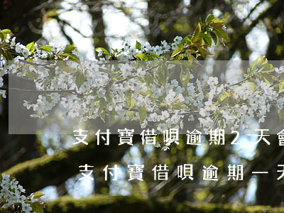 支付寶借唄逾期2天會(huì)上征信嗎(支付寶借唄逾期一天會(huì)上征信嗎)