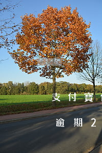 支付寶借唄逾期2天會關閉嗎-支付寶借唄逾期2天會關閉嗎