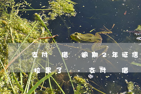 支付寶借唄逾期2年征信已經(jīng)拉黑了嗎-支付寶借唄逾期2年征信已經(jīng)拉黑了嗎怎么辦