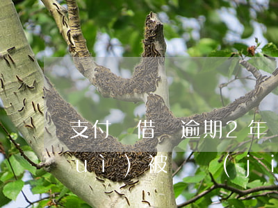 支付寶借唄逾期2年會(huì)不會(huì)被凍結(jié)(支付寶借唄逾期6天接到起訴通知,說(shuō)會(huì)凍結(jié)財(cái)產(chǎn))