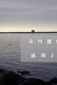 支付寶借唄逾期2萬(wàn)(支付寶借唄逾期2萬(wàn)多久上門核實(shí))
