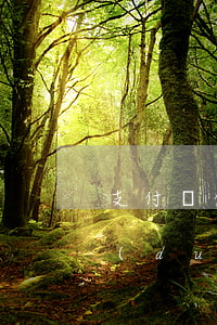 支付寶借唄逾期3-支付寶借唄逾期3天,對(duì)征信有影響嗎?