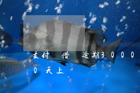 支付寶借唄逾期3000(支付寶借唄逾期30天,上門)