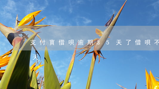 支付寶借唄逾期35天了(借唄不小心逾期8天)