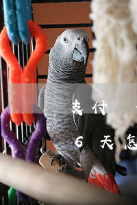 支付寶借唄逾期36天-支付寶借唄逾期36天怎么辦