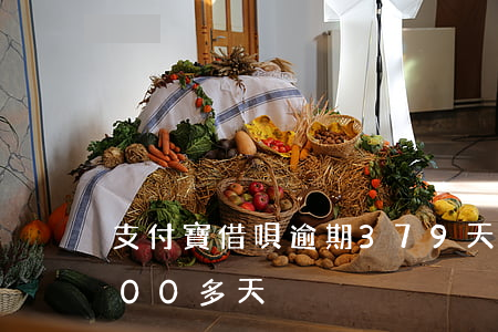 支付寶借唄逾期379天(支付寶借唄逾期700多天)