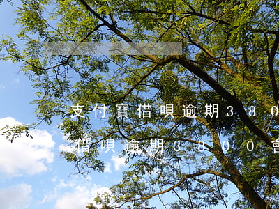 支付寶借唄逾期3800會坐牢嗎-支付寶借唄逾期3800會坐牢嗎知乎
