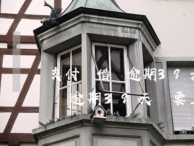支付寶借唄逾期39天說要上門-支付寶借唄逾期39天說要上門是真的嗎