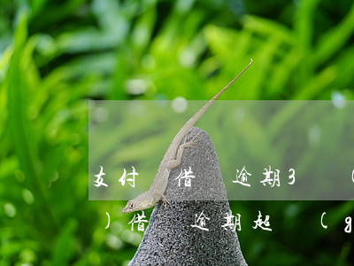 支付寶借唄逾期3個(gè)小時(shí)(借唄逾期超過(guò)三個(gè)月了)