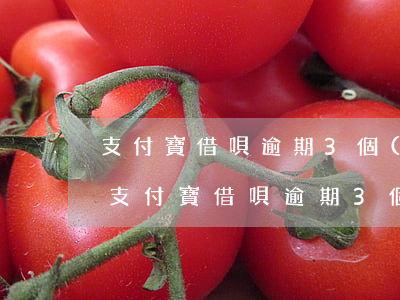 支付寶借唄逾期3個(gè)月怎么投訴-支付寶借唄逾期3個(gè)月怎么投訴他
