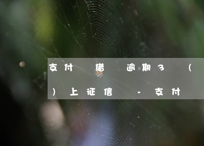 支付寶借唄逾期3個(gè)月會(huì)上征信嗎?-支付寶借唄逾期3個(gè)月會(huì)上征信嗎怎么辦