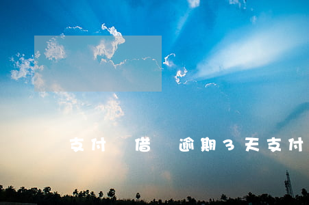 支付寶借唄逾期3天（支付寶借條逾期三天）