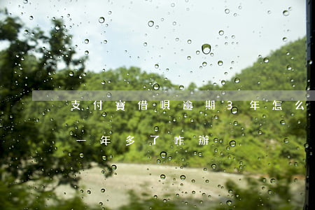 支付寶借唄逾期3年怎么辦(支付寶借唄逾期一年多了咋辦)