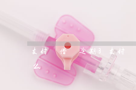 支付寶借唄逾期3(支付寶借唄逾期3年會怎么樣)